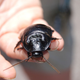 Imagen para el artículo titulado Esta chica se despertó con una cucaracha dentro del oído. Tardaron más de una semana en sacársela